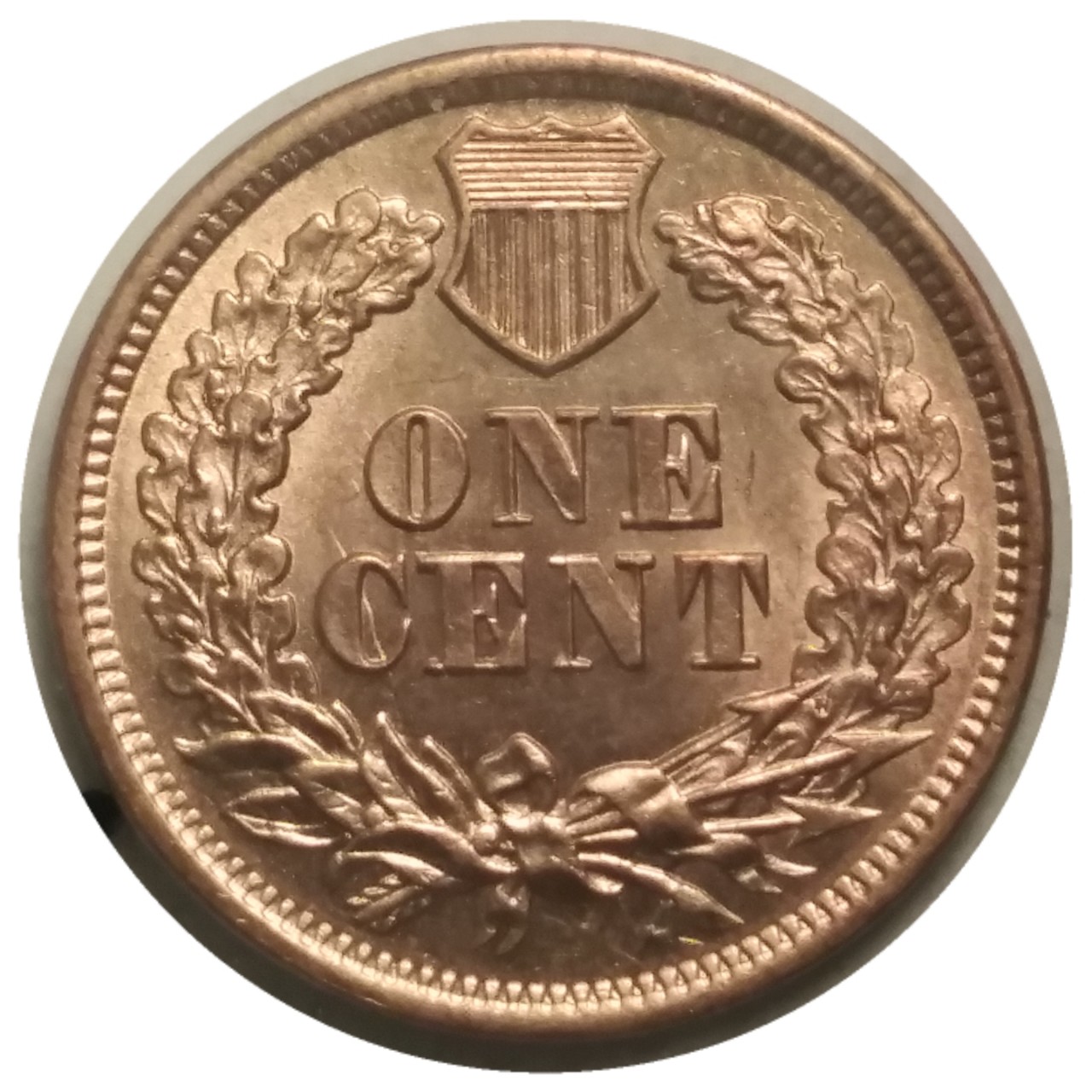 1865-1c-Indian-Head-Cent-#2
